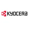 Logo 12
